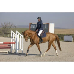 Jas Equithème Diagonal Men Donkerblauw -Roeckl Winkel jas equitheme diagonal men donkerblauw 1500x1500 150018