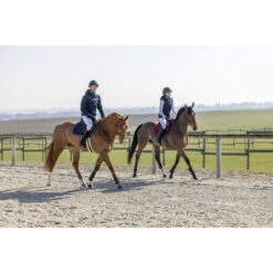 Jas Equithème Diagonal Men Donkerblauw -Roeckl Winkel jas equitheme diagonal men donkerblauw 1500x1500 150019